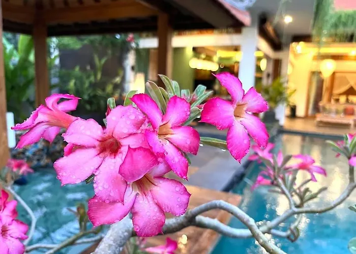 Dewi Parwati - Private With Pool - North Bali - Private Cook Villa Tegallengah